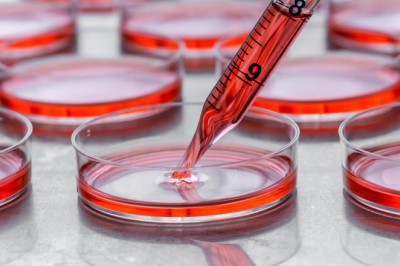 Applications of Cell Culture
