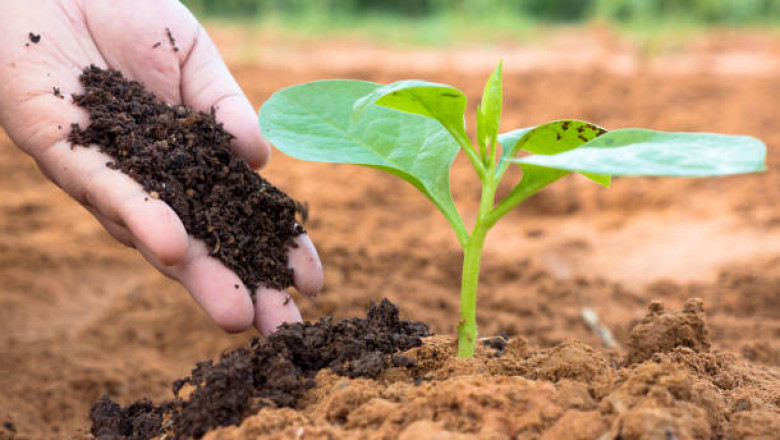 Fertilizer Market Size 2021, Industry Trends, Share, Growth and Forecast 2026