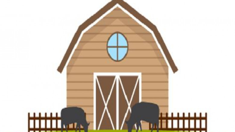 Global Protein Hydrolysate For Animal Feed Application Market Analysis by 2022-2028
