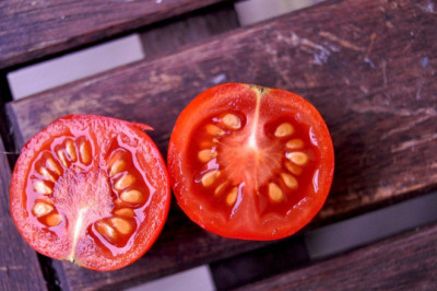 Tomato Seeds Market Revenue Growth, Demand Forecast and Trends Analysis By 2028