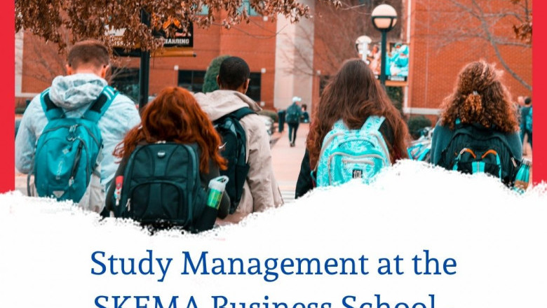 Top reasons to pursue a Business Program at SKEMA