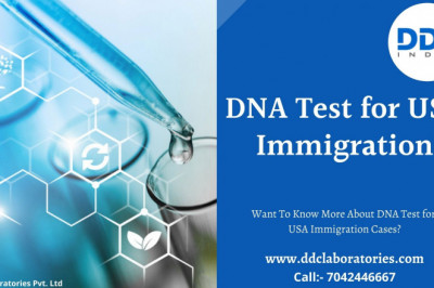 Want To Know More About DNA Test for USA Immigration Cases?