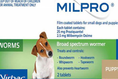 Buy Milpro Wormer For Dogs 0.5 To 5 Kg | DiscountPetCare