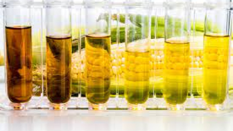 Ethanol Manufacturing Project Report 2021: Plant Cost, Manufacturing Process, Industry Trends, and Forecast till 2026  | Syndicated Analytics