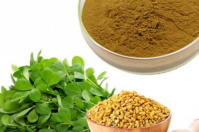 Fenugreek Seed Extract Market Key Findings, Regional Study, Size, Growth and Global Trends by Forecast to 2028