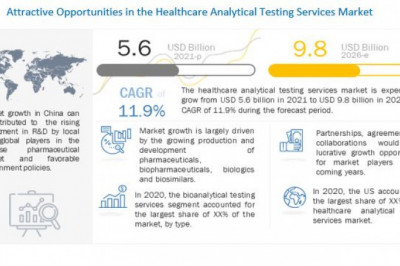 Healthcare Analytical Testing Services Market - Size, Share and Industry Analysis
