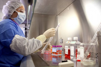 Mycoplasma Testing Market - Global Industry Analysis by Size, Share and Forecast 2022 – 2027