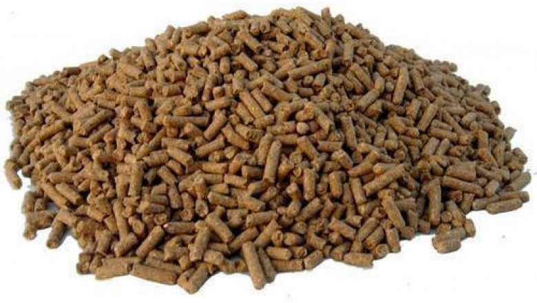 Phytogenic Feed Additives Market 2021 Introducing New Industry Dynamics Through SWOT Analysis with Leading Players and Forecast 2028