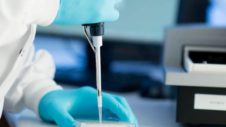 Pyrogen Testing Services