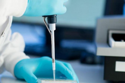 Pyrogen Testing Services