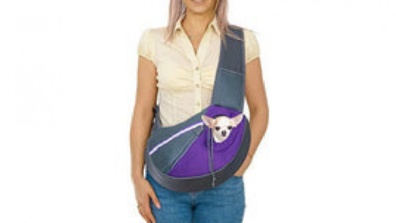 Top 4 Must Have Stylish Accessories For A Dog Owner