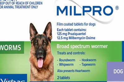 Buy Milpro Wormer For Dogs 5 - 25 Kg Online | DiscountPetCare