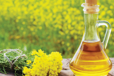 Canola Protein Market Revenue Growth Report Analysis At Regional & Country Level Upto 2027