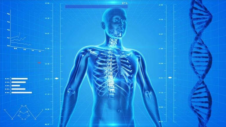 Medical Image Management Market, Get Market Research, Business Risk & Industry Analysis Reports 2027