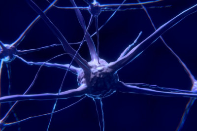 Neuropathic Pain Market Research Report- Forecast till 2027
