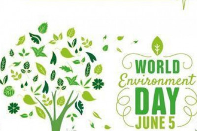 official online marketing pal site