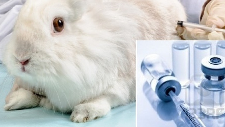 Pyrogen Testing Market 2021-26: Industry Trends, Share, Growth, Demand and Key Players