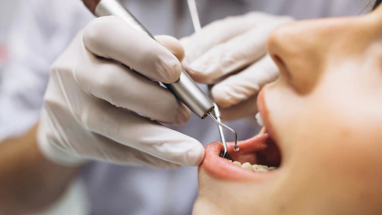 Recently Updated List of Orthodontists in USA