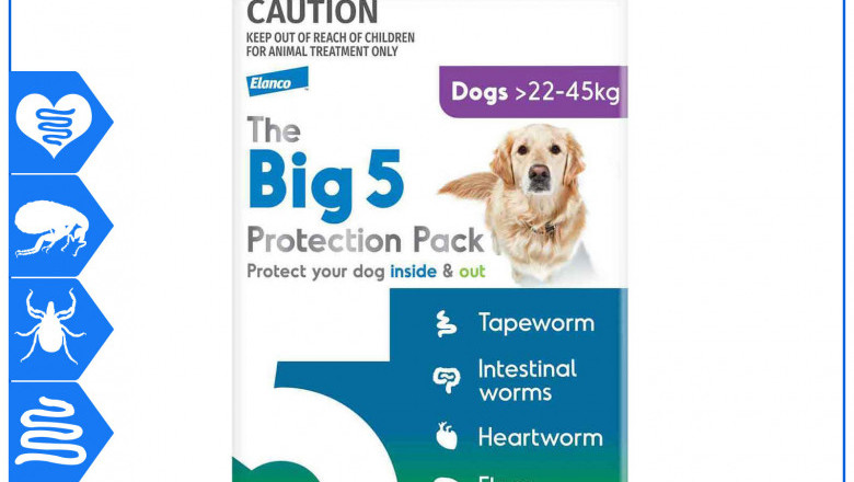 The Big 5 Protection Pack 6 chews for Dogs 22 to 45 Kg Purple Pack