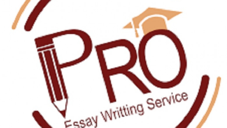 The Great Essay Writing Process