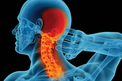 Head & Neck Cancer Drugs Market Segmentation