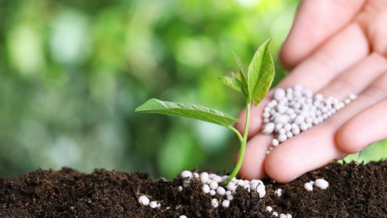 How to Prepare Your Lawn for the spring