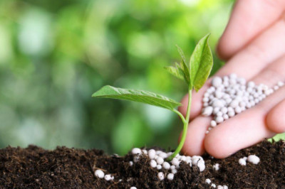 How to Prepare Your Lawn for the spring