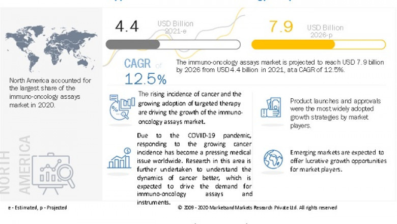 Immuno-Oncology Assays Market Worth USD 7.9 billion by 2026 : Adoption of Targeted Therapy