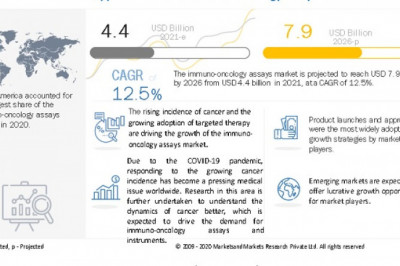 Immuno-Oncology Assays Market Worth USD 7.9 billion by 2026 : Adoption of Targeted Therapy