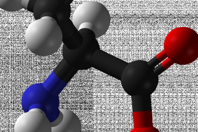 L-alanine Market Promising Growth Opportunities and Forecast 2028