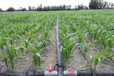 Payal Valve - PP Ball Valve, Solid Ball Valve, Agricultural Valve Manufacturers
