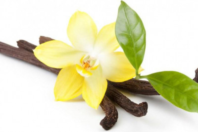 Vanillin Market Overview
