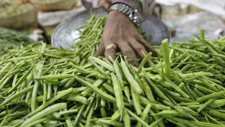 What is the mechanism behind Guar Gum?