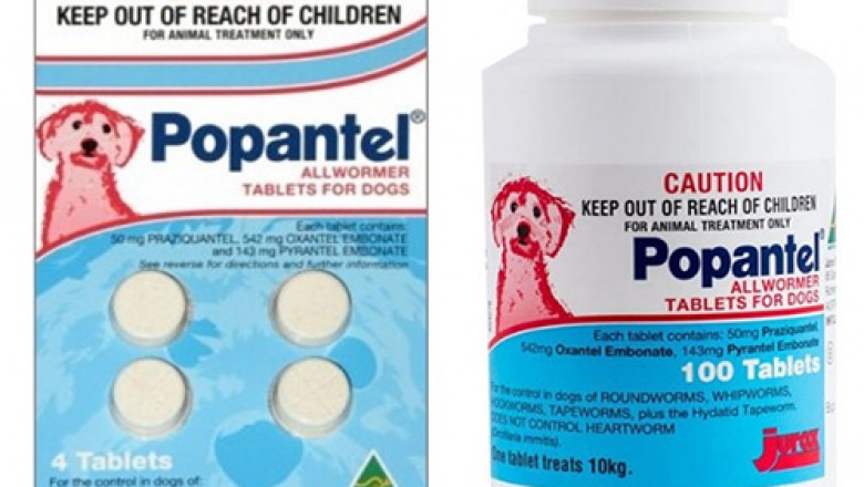 Popantel Allwormer For Dogs 10 Kg | DiscountPetCare