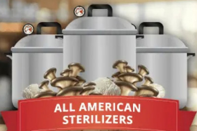 How to Make 6 Figures Yearly Growing Gourmet Mushrooms