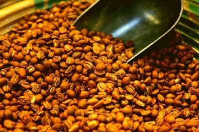 Interested in a Professional Career in the Coffee Trade?