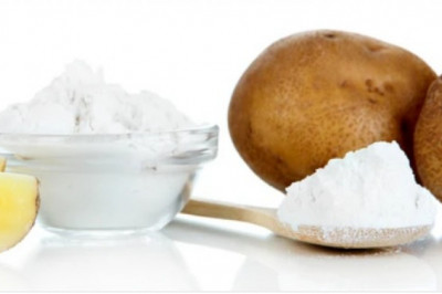 Starch Recovery Systems Market Size And Key Trends In Terms Of Volume And Value 2026