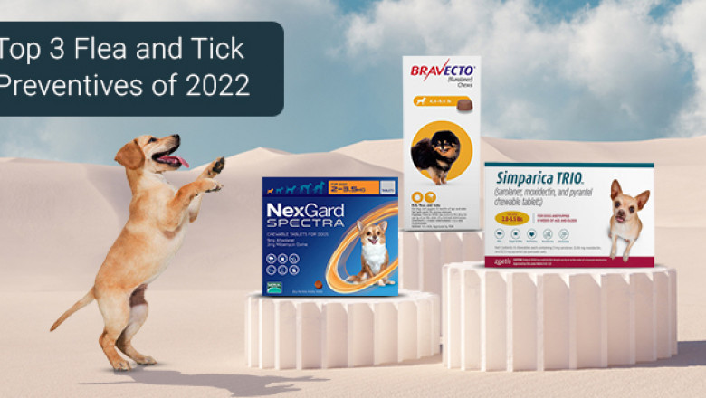 Top 3 Flea and Tick Preventives of 2022