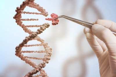 Genetic Engineering Market - Global Industry Growth and Forecast – 2027
