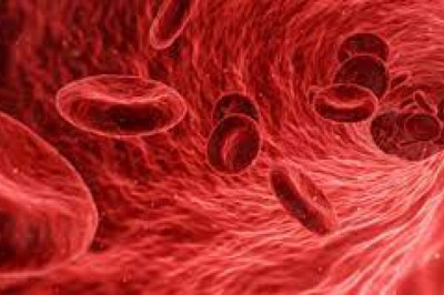 Host Cell Contaminant Testing Market - Global Industry Growth and Forecast – 2027