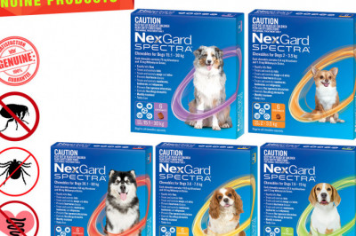 NEXGARD SPECTRA provide monthly parasite protection for your dog.