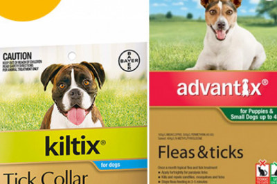 Buy Advantix & Kiltix Collar Combo Pack For Dogs | DiscountPetCare
