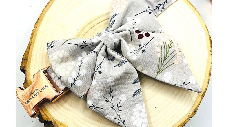 Buy Best Dog Collars And Leash Set online | Dog Clothes for Winter | giftydogstore