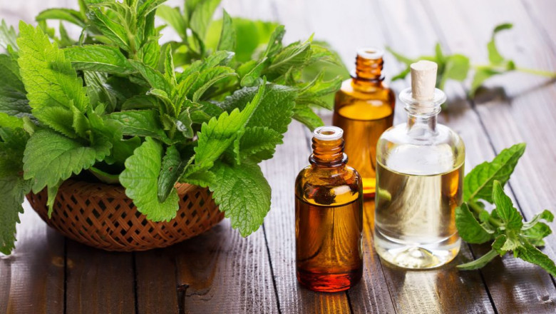 Essential Oil Is Popularly Used In Aromatherapy And Even As A Solution For All Type Of Ailments As It Contains Volatile Chemical Compounds A Plant