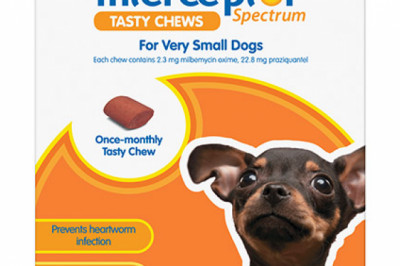 Interceptor Spectrum Tasty Chews For Very Small Dogs