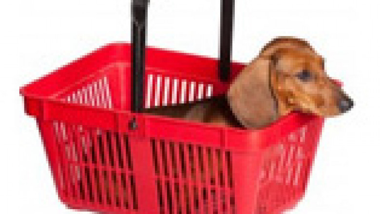 New To Puppy Parenting? See How Pets Habitat Can Help