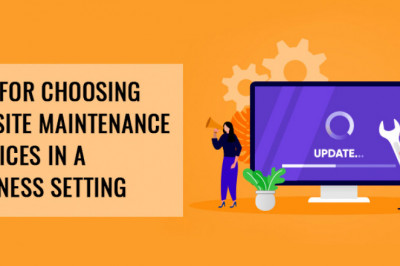 Tips for Choosing Website Maintenance Services in a Business Setting