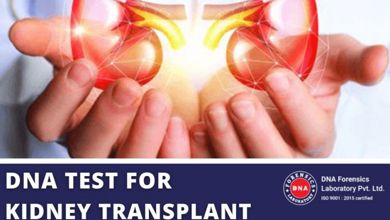 Where to Go For DNA Test for Kidney Transplant in India?