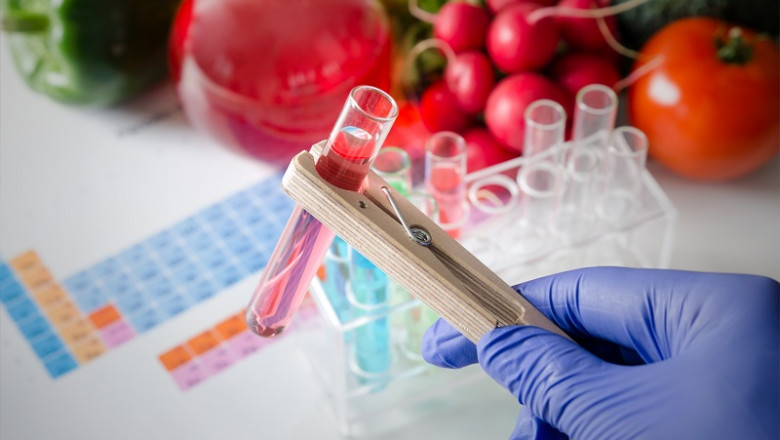Food Safety Testing Market Key Findings, Regional Study, Size, Growth and Global Trends by Forecast to 2028