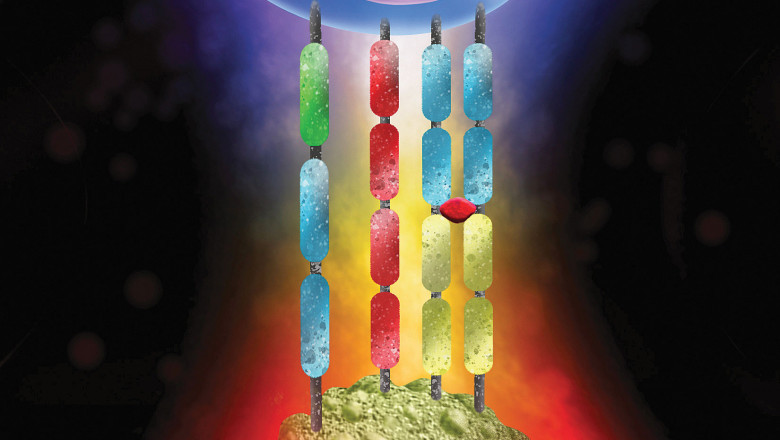Leading global developer of cell-based technologies & therapeutics Expands its Cellular Immuno-Oncology